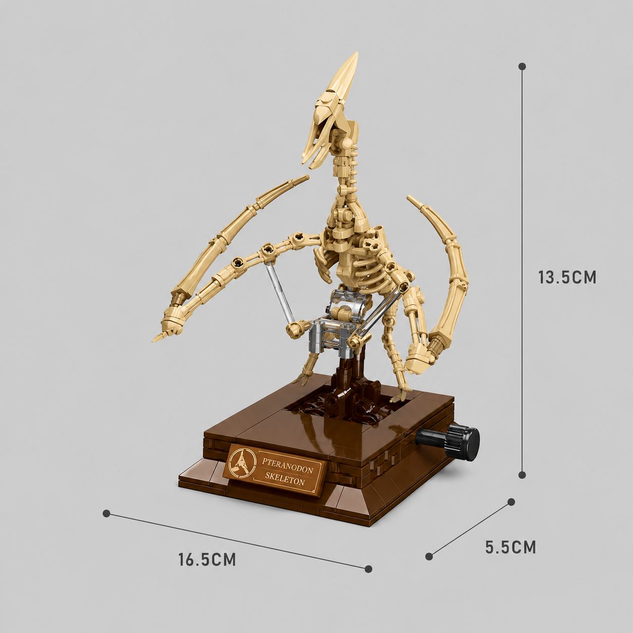 HouseBlox Signature – Golden Pterosaur Skeleton