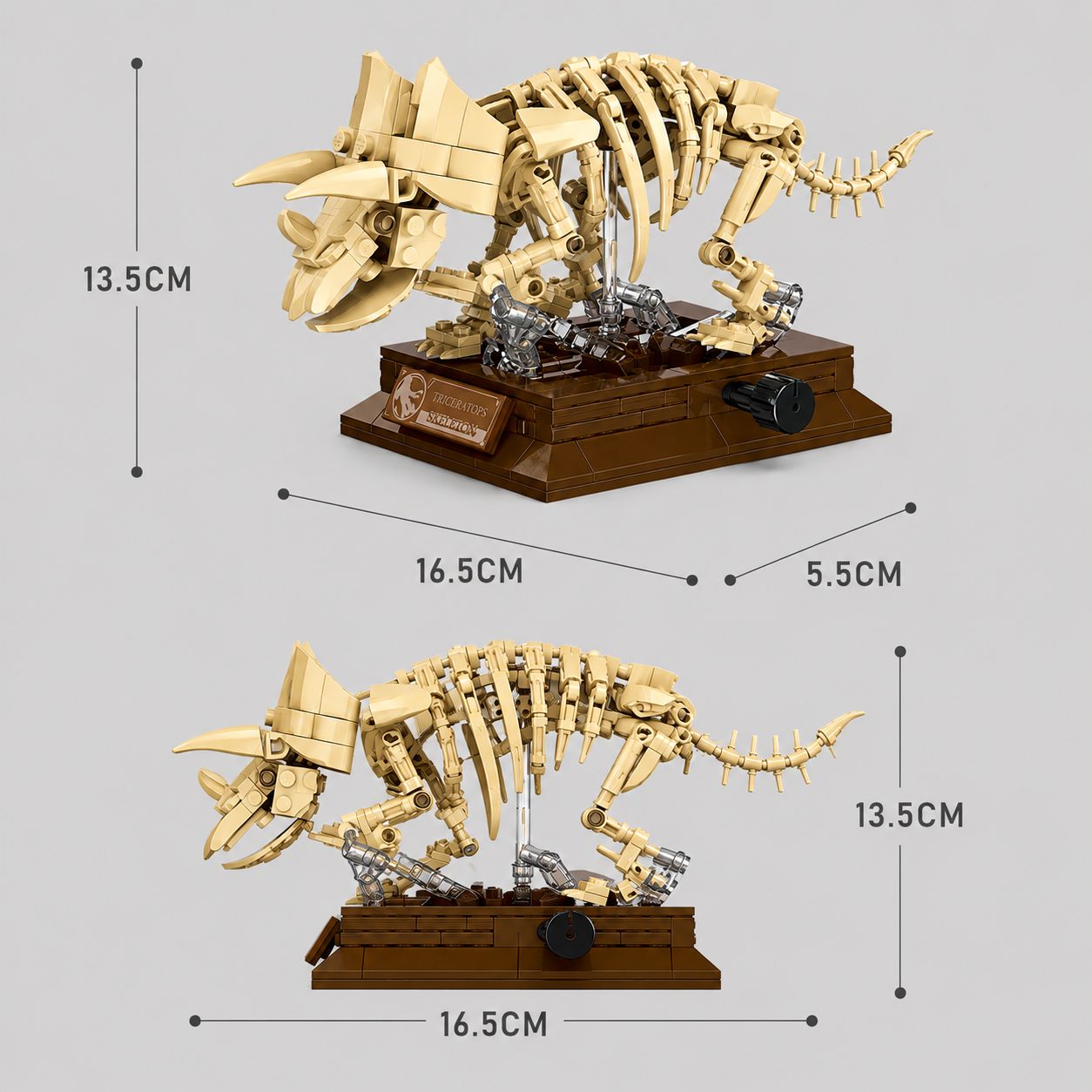 HouseBlox Signature – Triceratops Fossil Skeleton